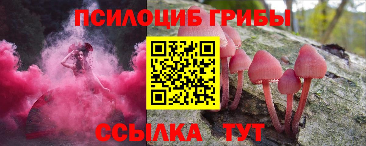 Мценск  сколько стоит  Вход с VPN  Псилоцибиновые грибы Psilocybine cubensis 